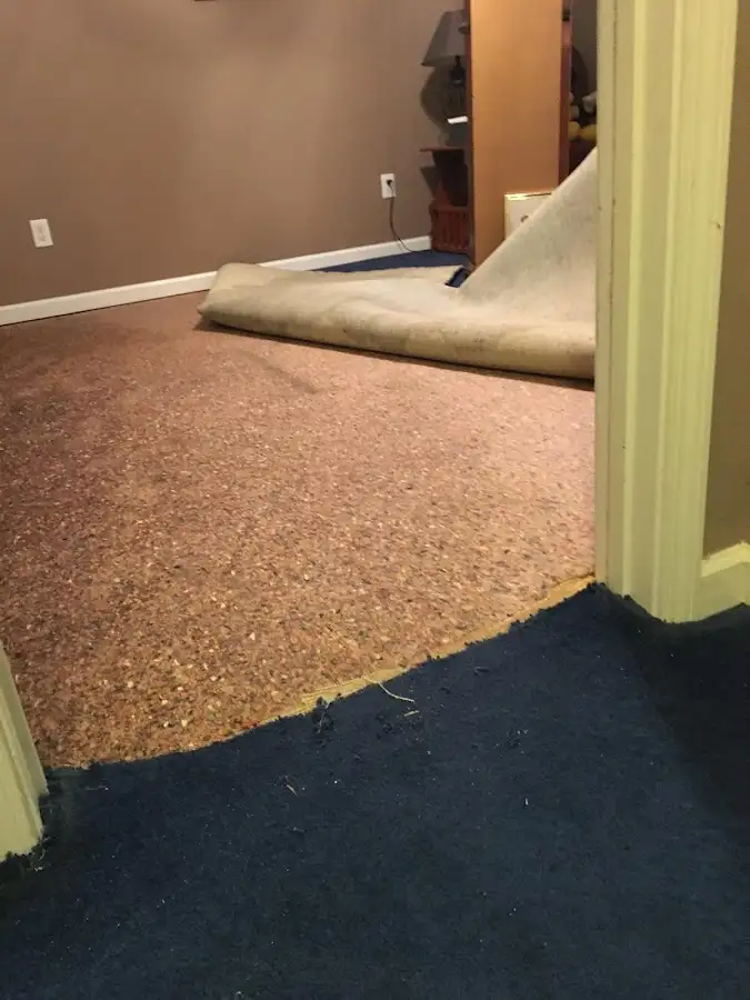Carpet pad removal revealing water damage during Drying & Dehumidification in Evergreen Park
