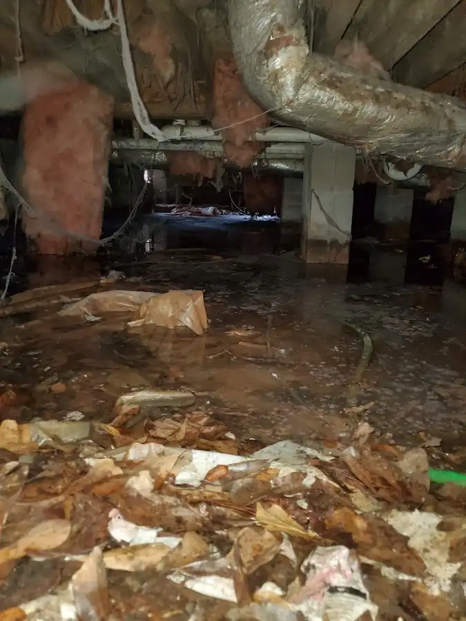 Crawl space flood assessment for Leak Detection & Repair in Evergreen Park