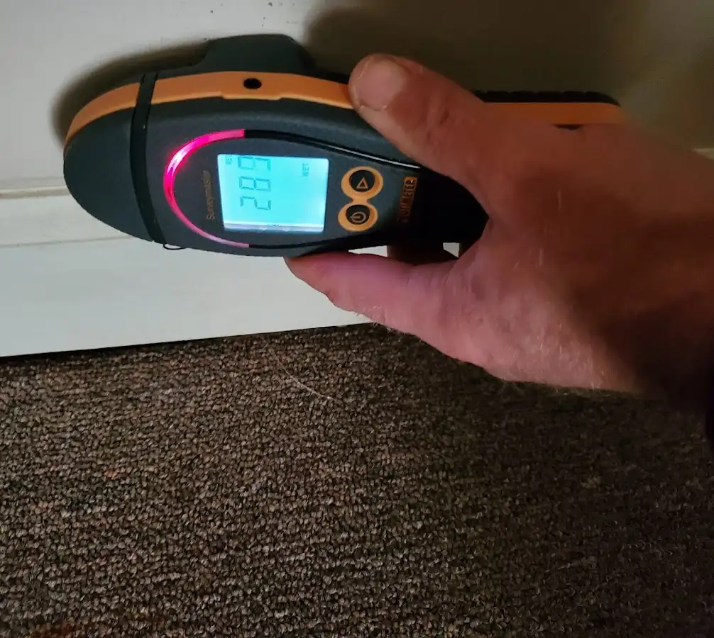Moisture detection at baseboard during Mold Inspection & Testing in Evergreen Park
